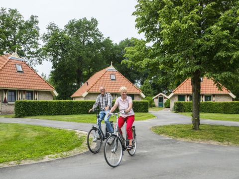 Landschapspark Striks Erve - Camping Staphorst - Image N°17