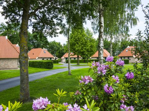 Landschapspark Striks Erve - Camping Staphorst - Image N°9