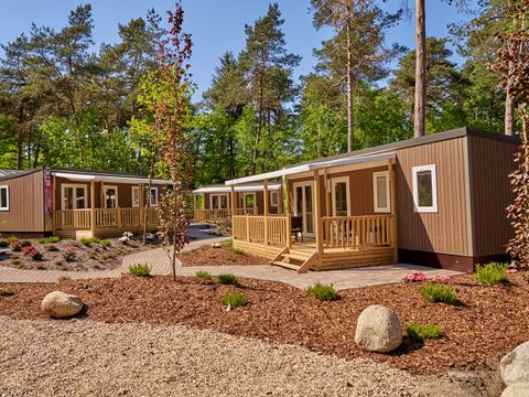 Vakantiepark Het Lierderholt - Camping Apeldoorn - Image N°7