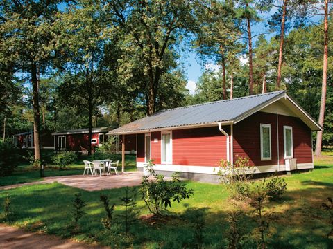 Vakantiepark Het Lierderholt - Camping Apeldoorn - Image N°18