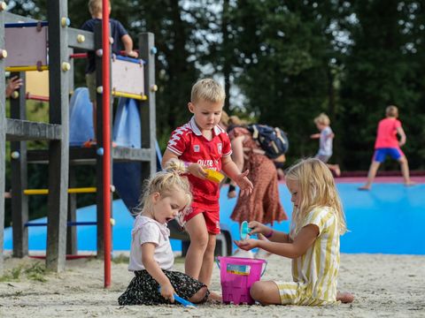 Camping Wedderbergen - Camping Westerwolde - Image N°25