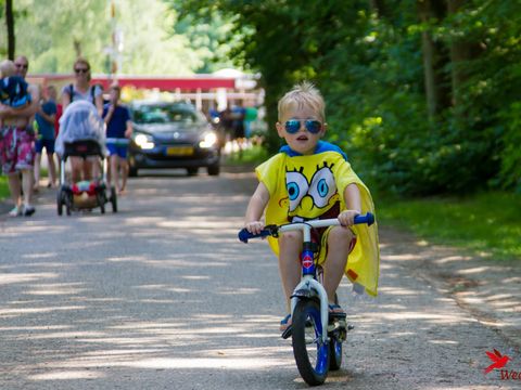 Camping Wedderbergen - Camping Westerwolde - Image N°37