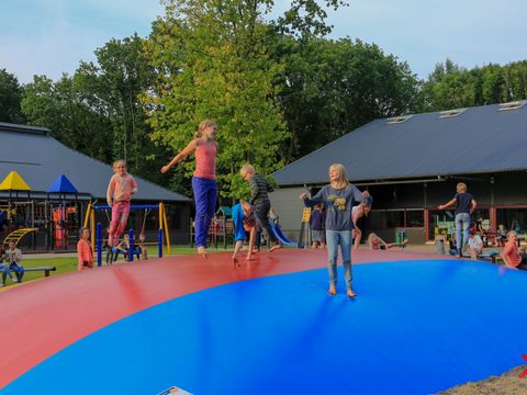 Camping Wedderbergen - Camping Westerwolde - Image N°21