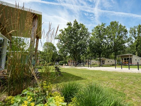 Camping Wedderbergen - Camping Westerwolde - Image N°43