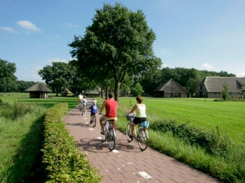 Landgoed De Lindenbergh - Camping Ommen - Image N°9