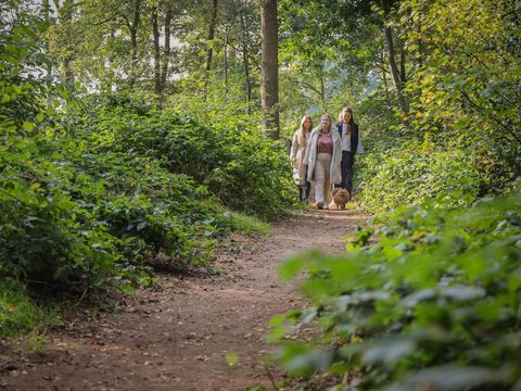 Recreatiepark De Boshoek - Camping Barneveld - Image N°84