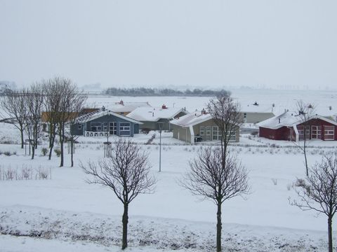 Novasol Ferienpark Friedrichskoog-Spitze - Camping Schleswig-holstein - Image N°131