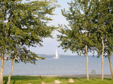 DanCenter Ferienpark Geltinger Bucht - Ostsee - Camping Schleswig-holstein - Image N°8