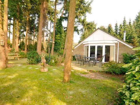 Vakantiepark De Bosrand - Camping Epe - Image N°28