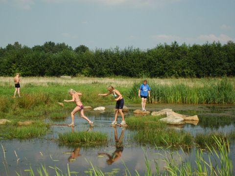 Vakantieoord De Bronzen Emmer - Camping Coevorden - Image N°3