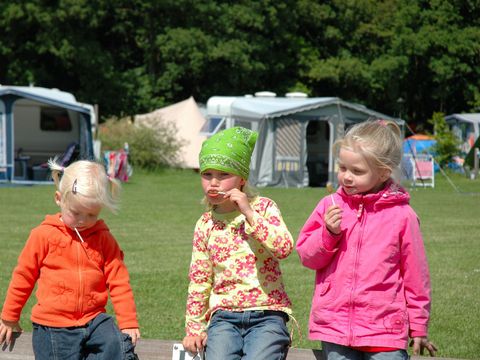 Vakantieoord De Bronzen Emmer - Camping Coevorden - Image N°22