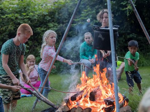 Vakantieoord De Bronzen Emmer - Camping Coevorden