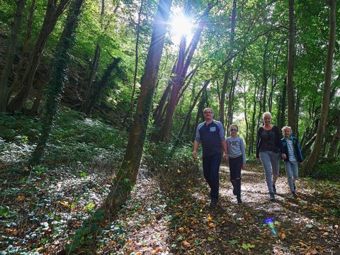 Vallée Les Etoiles - Camping Namur - Image N°21