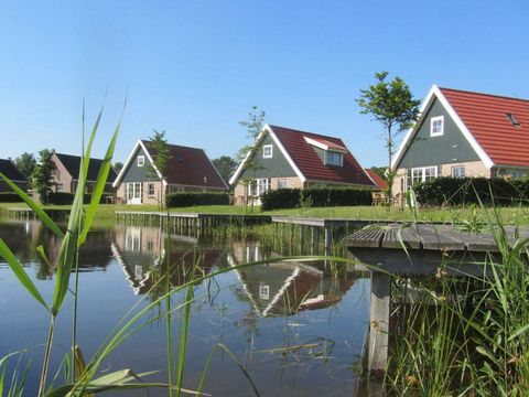 Vakantiepark Eigen Wijze - Camping Noordoostpolder - Afbeelding N°4