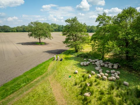 Landal Orveltermarke - Camping Midden-Drenthe - Image N°15