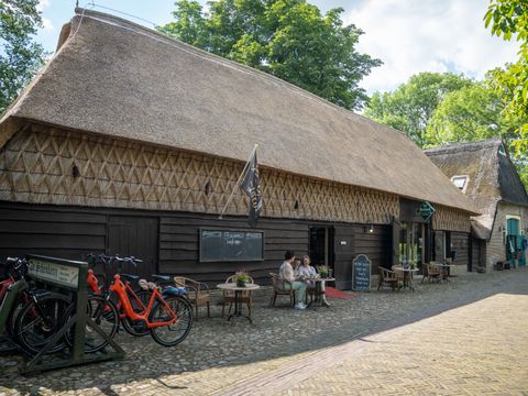 Landal Orveltermarke - Camping Midden-Drenthe - Image N°33