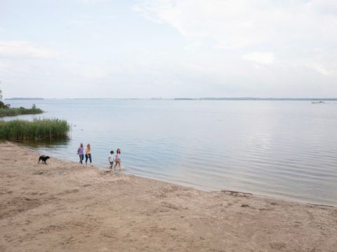 Landal Waterparc Veluwemeer - Camping Dronten - Image N°65