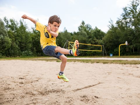 Trixi Ferienpark Zittauer Gebirge - Camping Saxe - Image N°19