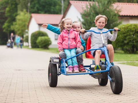 Trixi Ferienpark Zittauer Gebirge - Camping Saxe - Image N°9