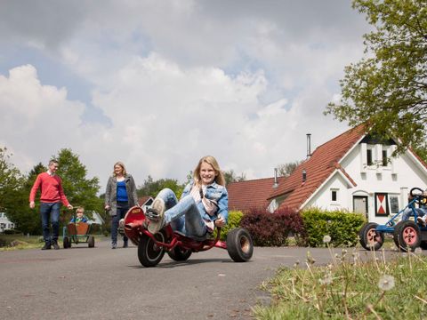 Landal Landgoed Aerwinkel - Camping Roerdalen - Image N°17