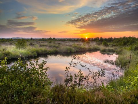 Landal Hunerwold State - Camping Westerveld - Image N°24