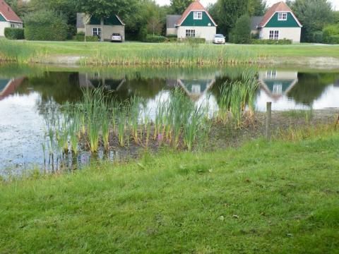 Landal Hunerwold State - Camping Westerveld - Image N°7