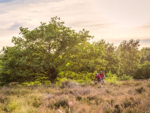 Landal Hunerwold State - Camping Westerveld - Image N°16