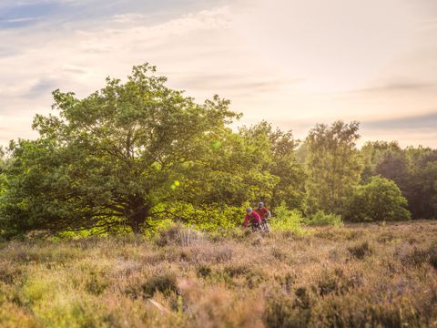 Landal Hunerwold State - Camping Westerveld - Image N°16