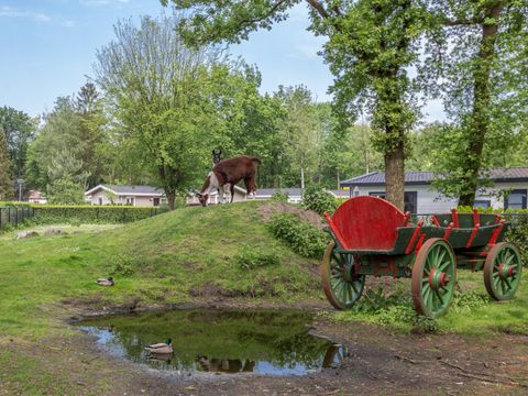 Residence De Eese - Camping Steenwijkerland - Image N°10