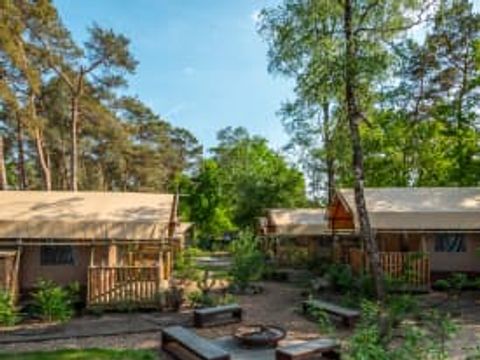 EuroParcs De Zanding - Camping Ede - Image N°91