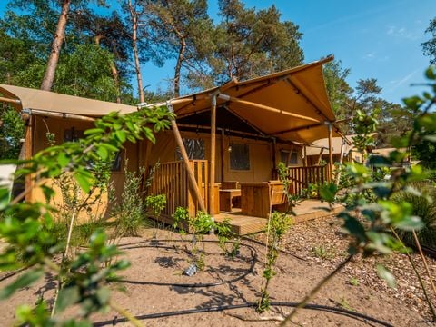 EuroParcs De Zanding - Camping Ede - Image N°29