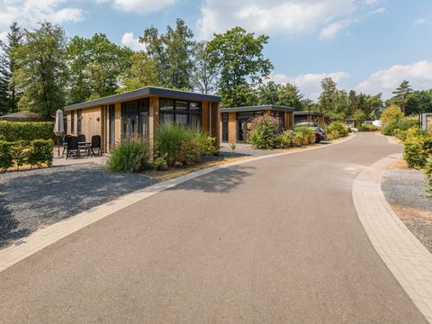 TopParken Landgoed de Scheleberg - Camping Ede - Image N°11