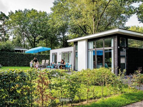 TopParken Landgoed de Scheleberg - Camping Ede - Image N°212