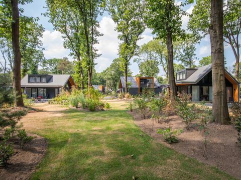 TopParken Landgoed de Scheleberg - Camping Ede - Image N°3