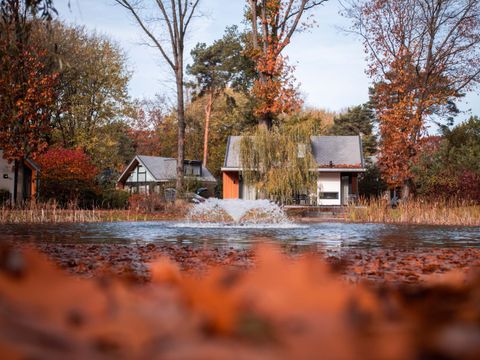 TopParken Landgoed de Scheleberg - Camping Ede - Image N°33