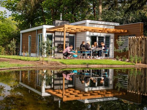 TopParken Landgoed de Scheleberg - Camping Ede - Image N°69