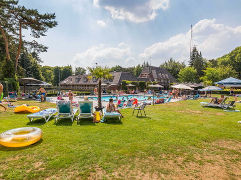 TopParken Landgoed de Scheleberg - Camping Ede - Image N°10