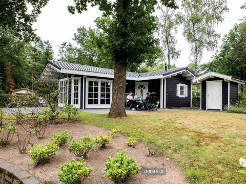 TopParken Landgoed de Scheleberg - Camping Ede - Image N°211