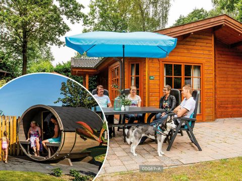 TopParken Landgoed de Scheleberg - Camping Ede - Image N°122