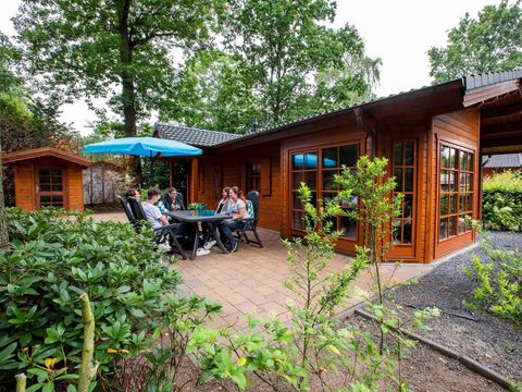 TopParken Landgoed de Scheleberg - Camping Ede - Image N°91