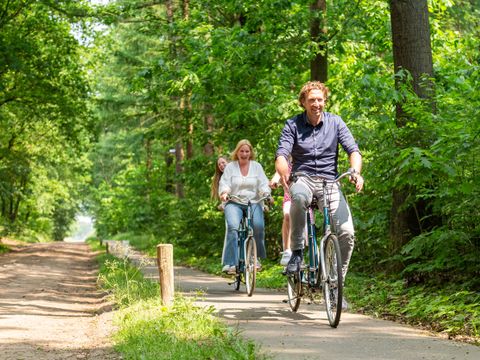 TopParken Recreatiepark 't Gelloo - Camping Ede - Image N°24