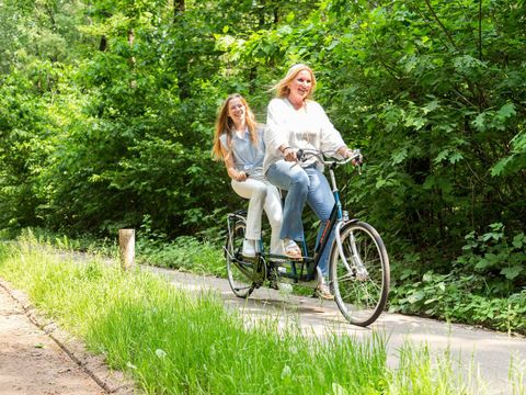 TopParken Recreatiepark 't Gelloo - Camping Ede - Image N°35