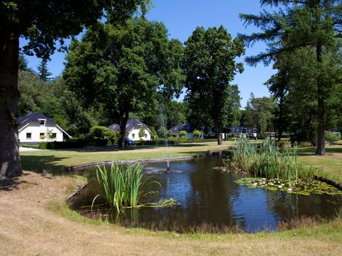 TopParken Bospark Ede - Camping Ede - Image N°6