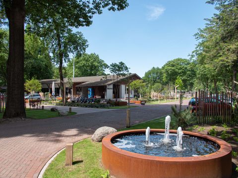 TopParken Bospark Ede - Camping Ede - Image N°21