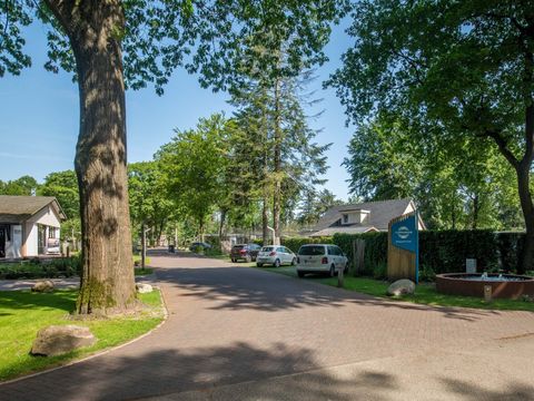 TopParken Bospark Ede - Camping Ede - Image N°41