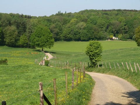 Buitenplaats De Mechelerhof - Camping Gulpen-wittem - Image N°7