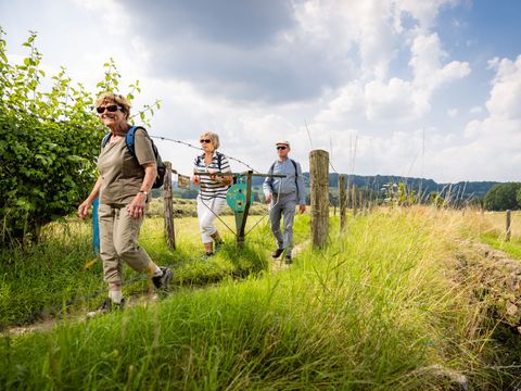 Buitenplaats De Mechelerhof - Camping Gulpen-Wittem - Image N°28