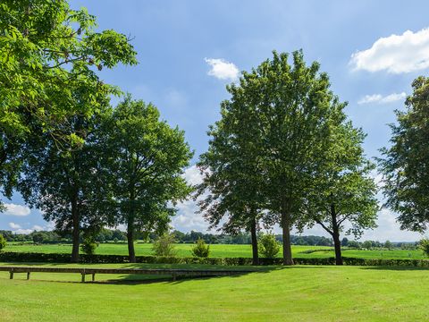 Buitenplaats De Mechelerhof - Camping Gulpen-Wittem - Image N°20