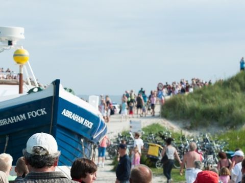 Parc Koudenburg - Camping Ameland - Image N°9