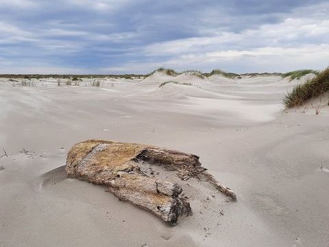 Parc Koudenburg - Camping Ameland - Image N°10